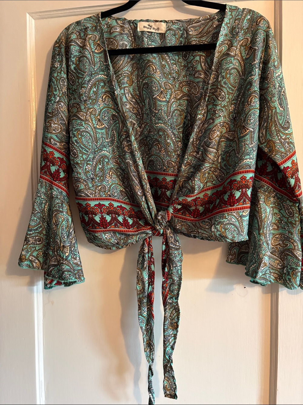 Womans Big Bull Paisley Tie-Front Crop Top in Teal and Red